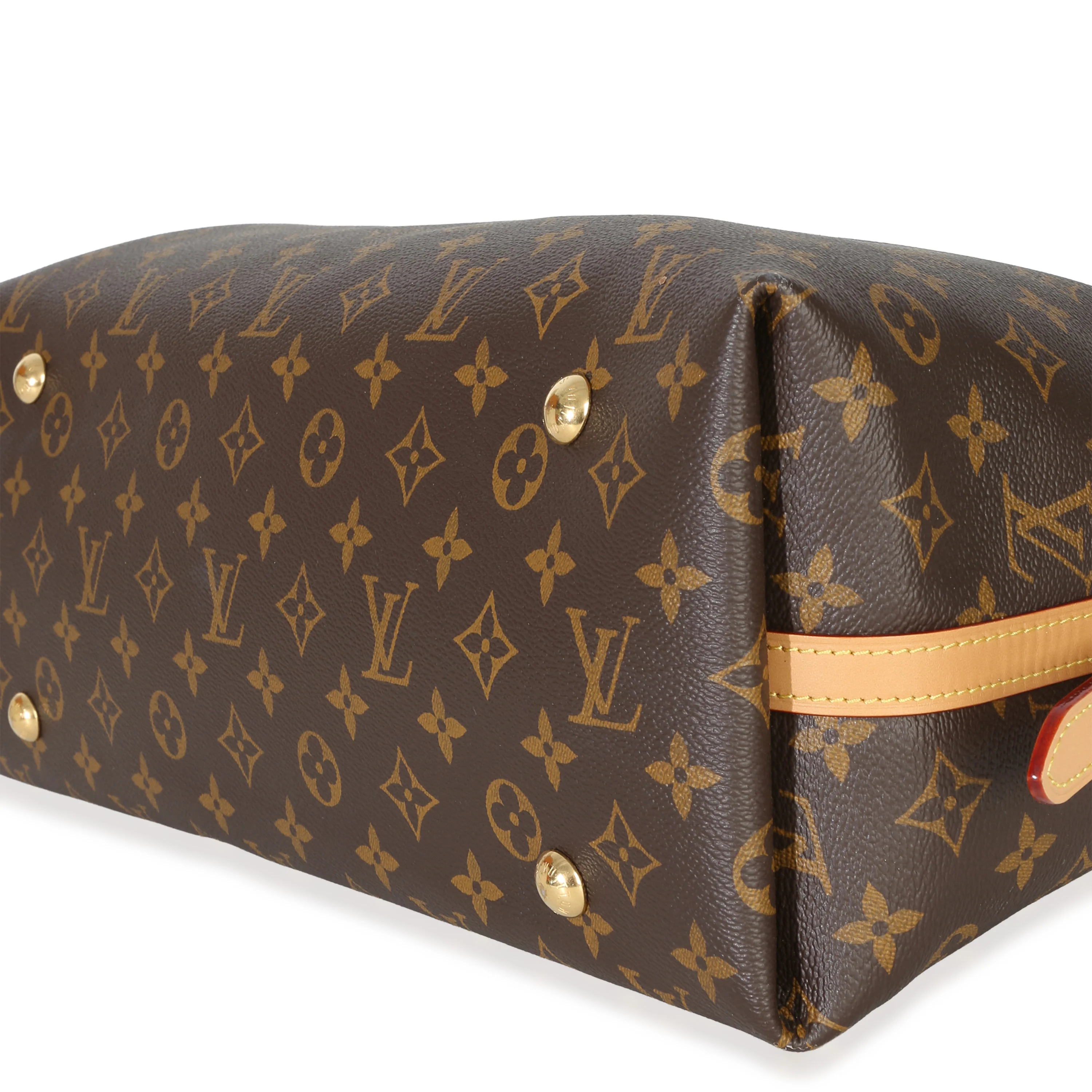 Monogram Canvas Carryall MM - Image 6