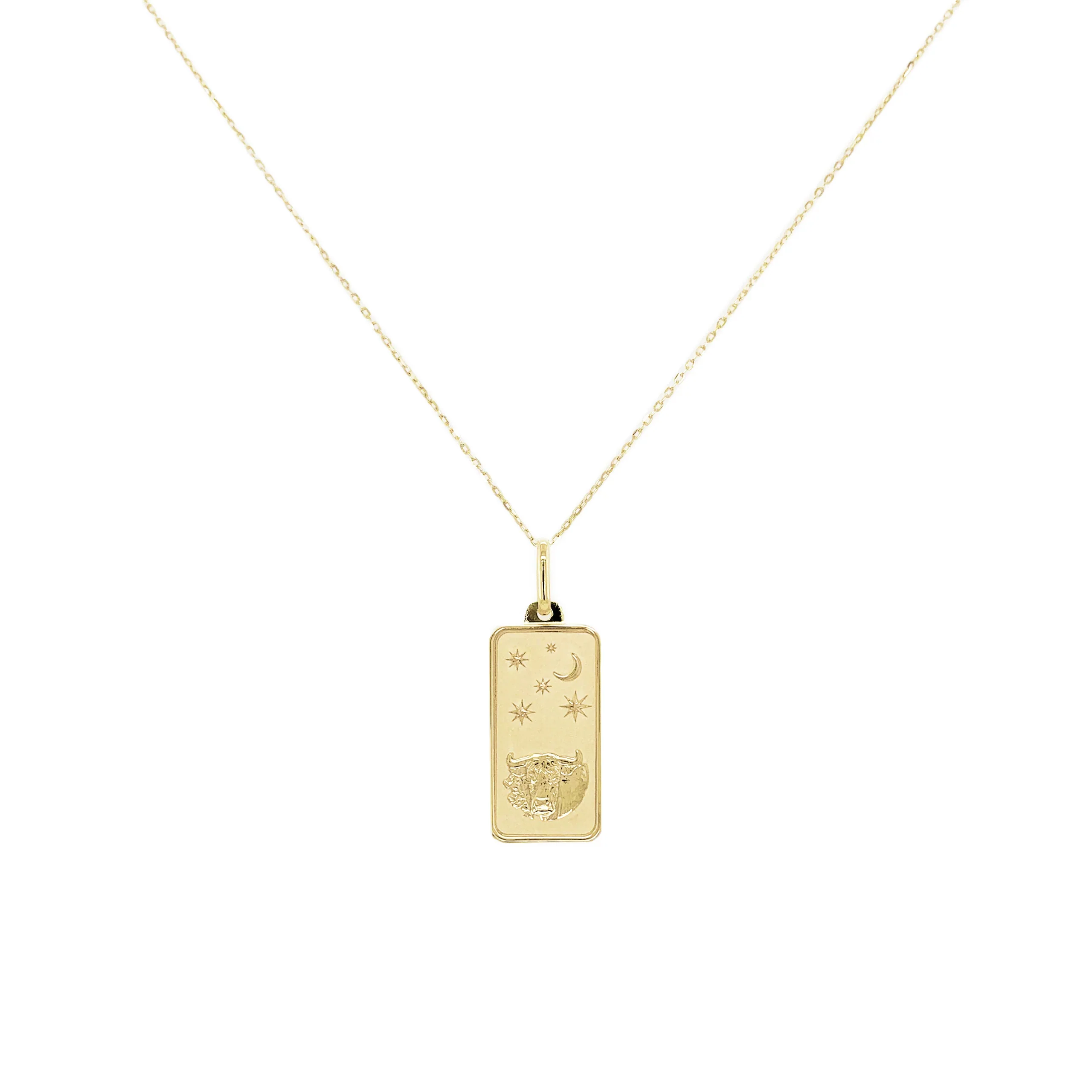 Taurus Zodiac Dog Tag Necklace in 14K Yellow Gold