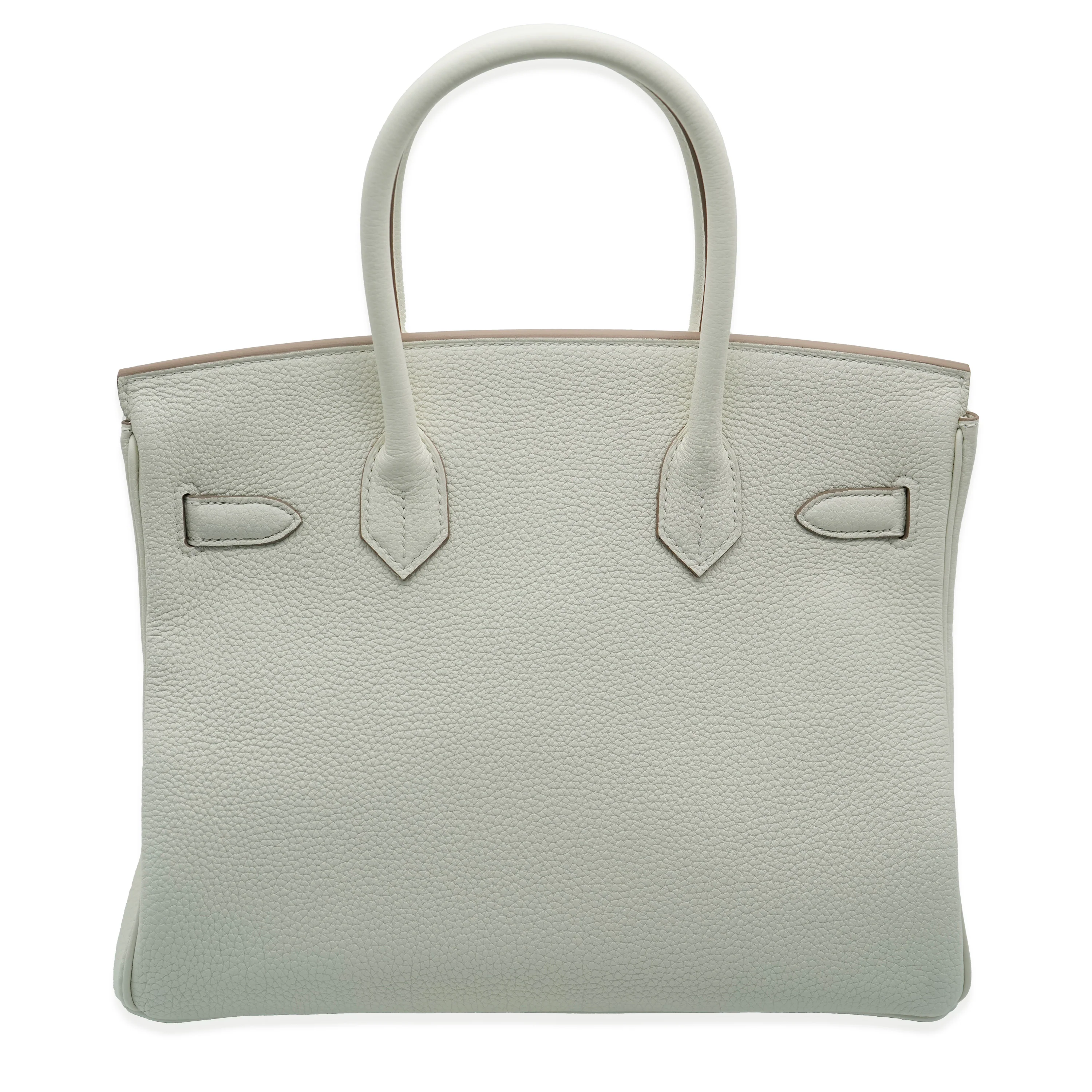 Mushroom Togo Birkin 30 GHW - Image 3