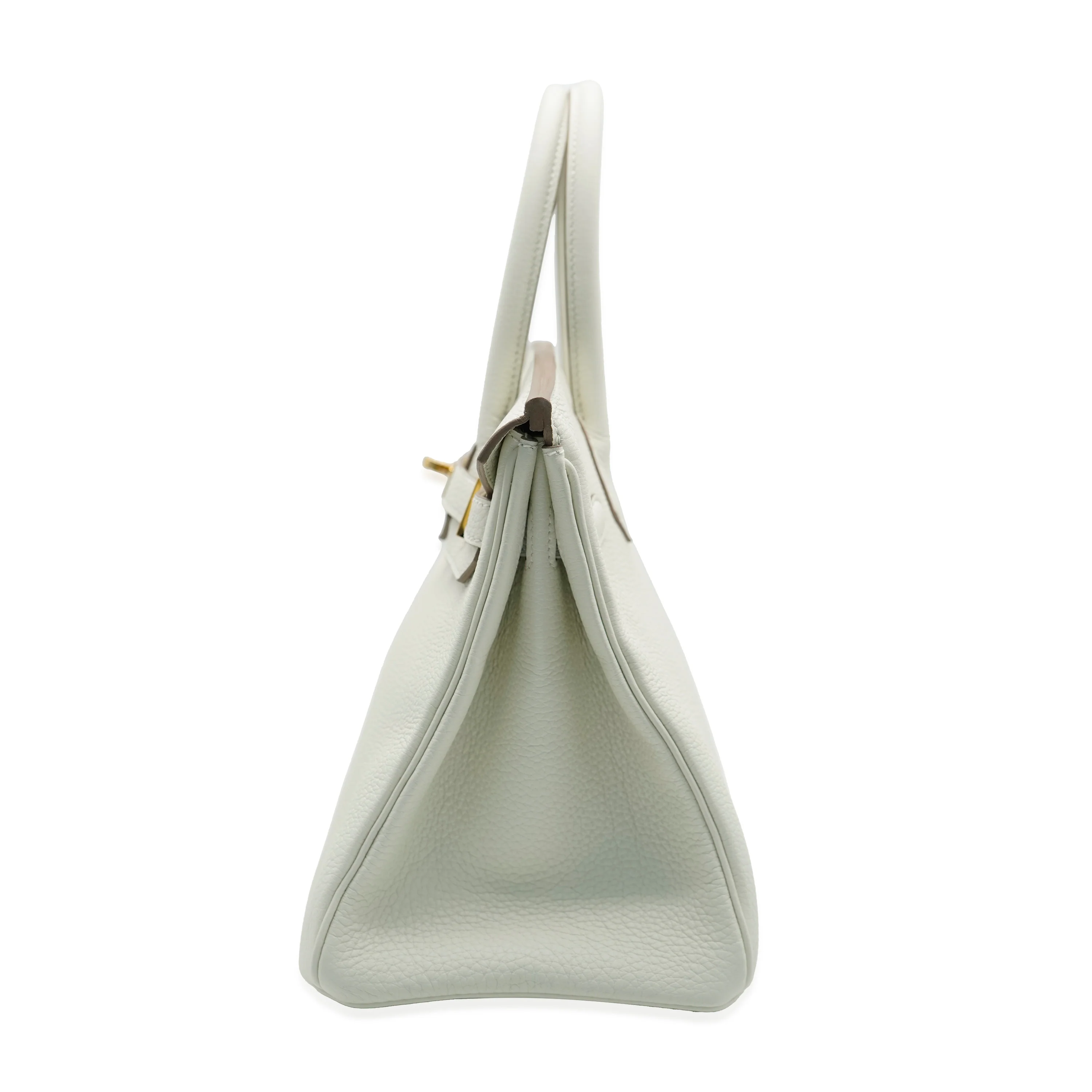 Mushroom Togo Birkin 30 GHW - Image 8