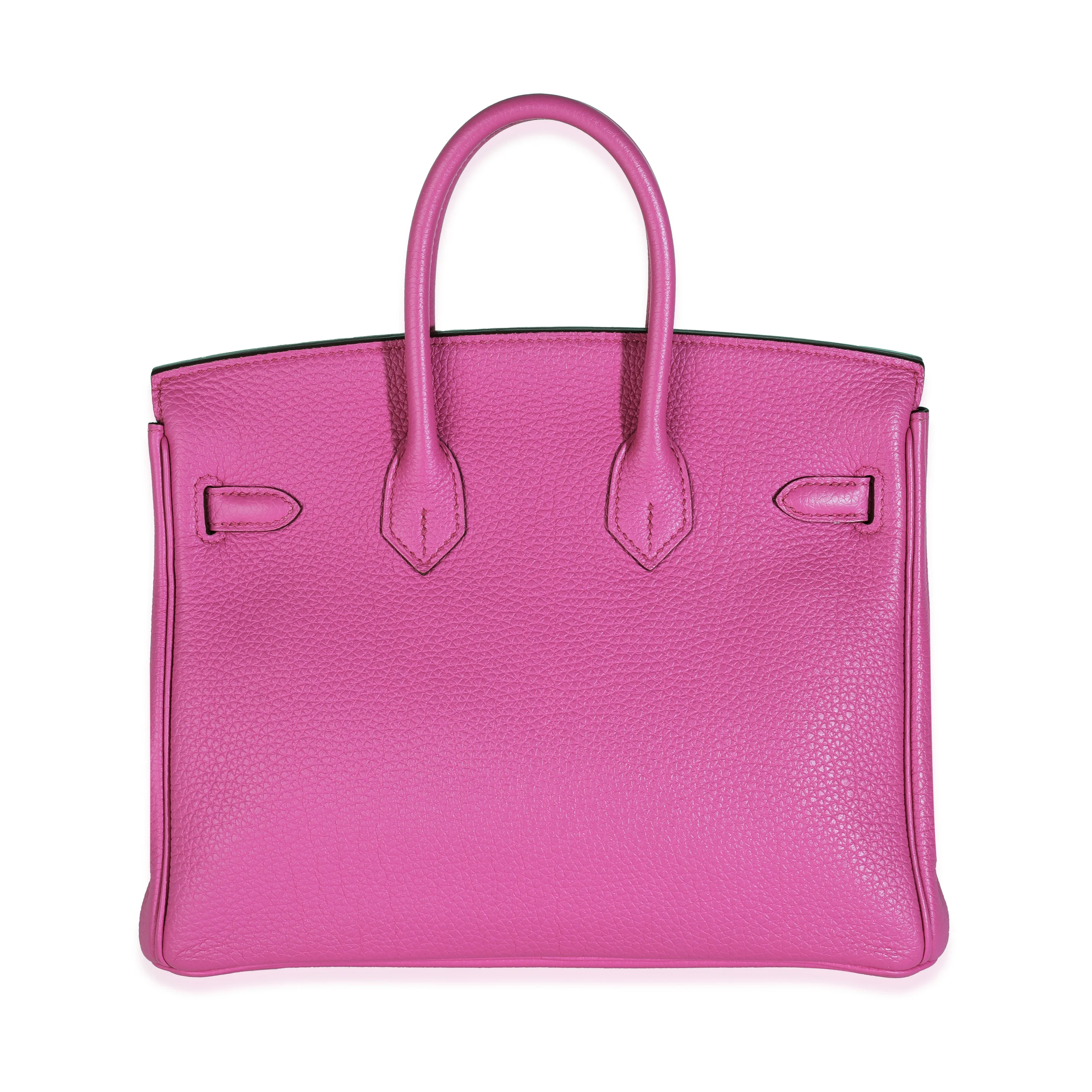 Magnolia Togo Birkin 25 PHW - Image 5