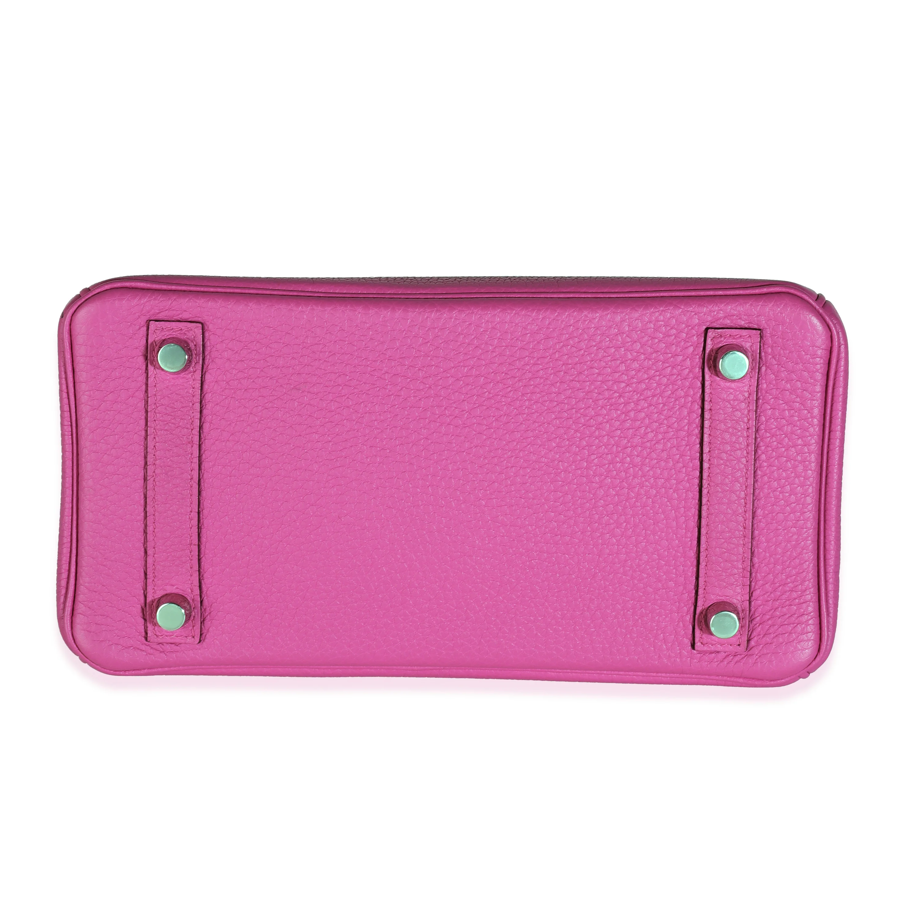 Magnolia Togo Birkin 25 PHW - Image 7