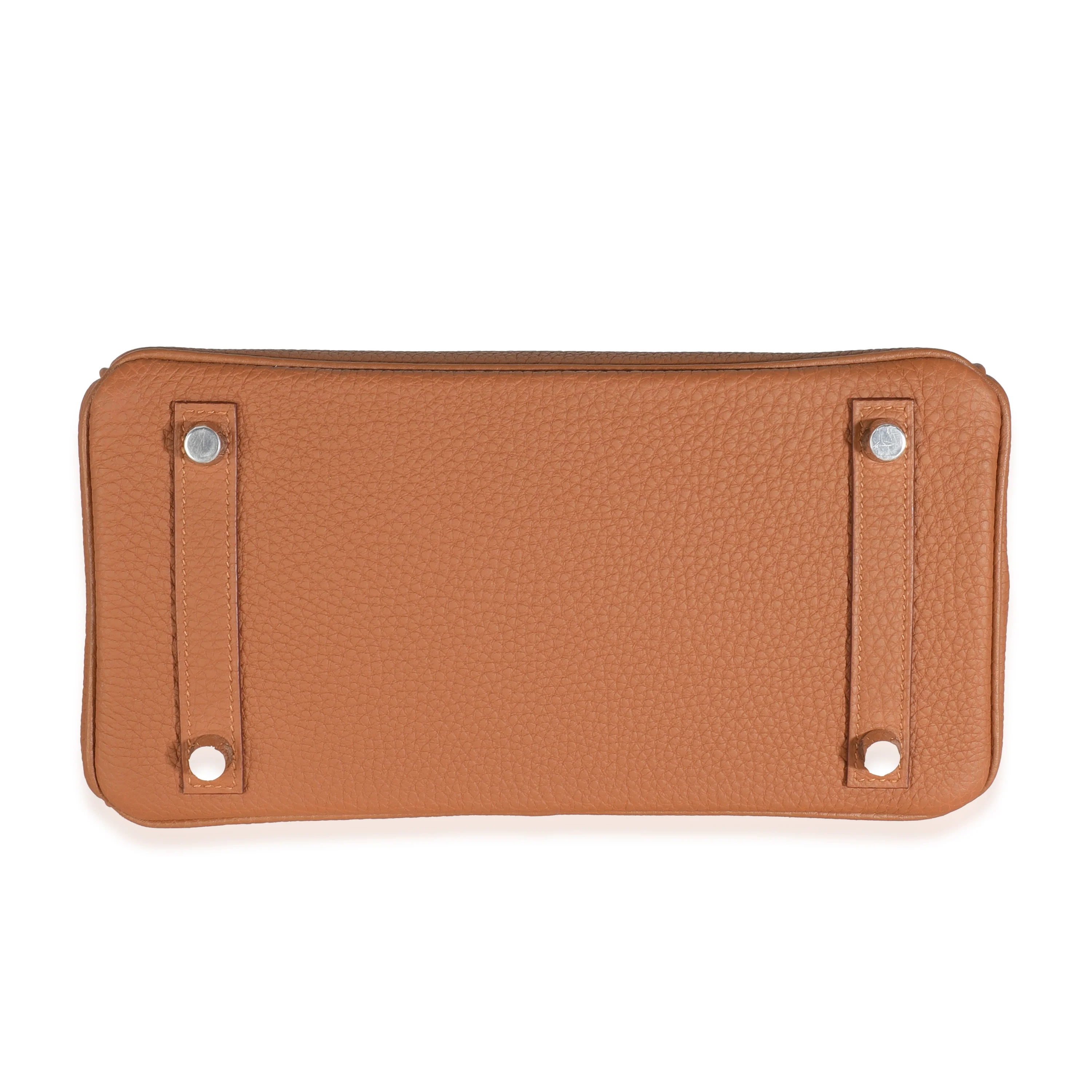 Gold Togo Matte Alligator Touch Birkin 25 PHW - Image 5