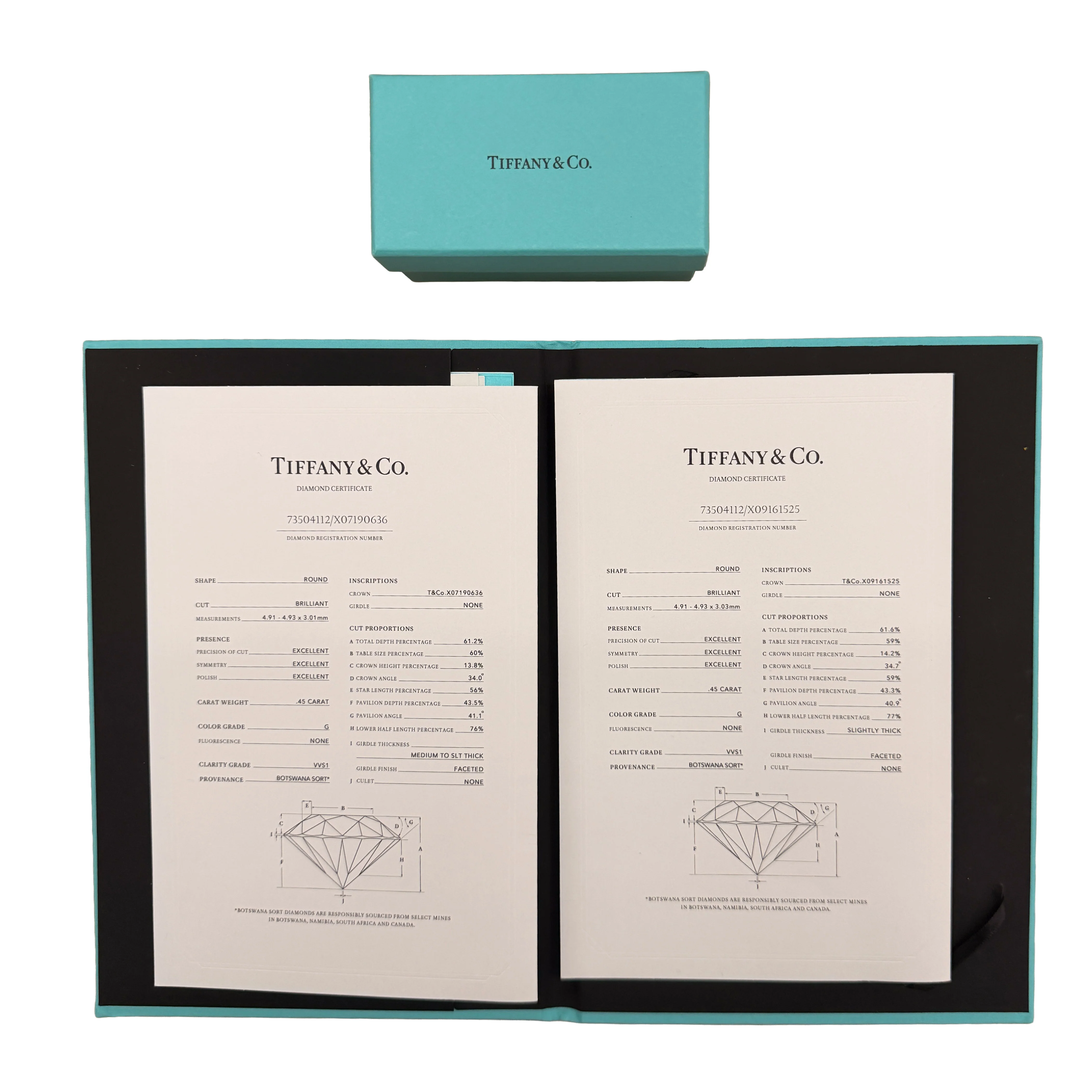 Platinum Diamond Soleste Earrings - Image 6