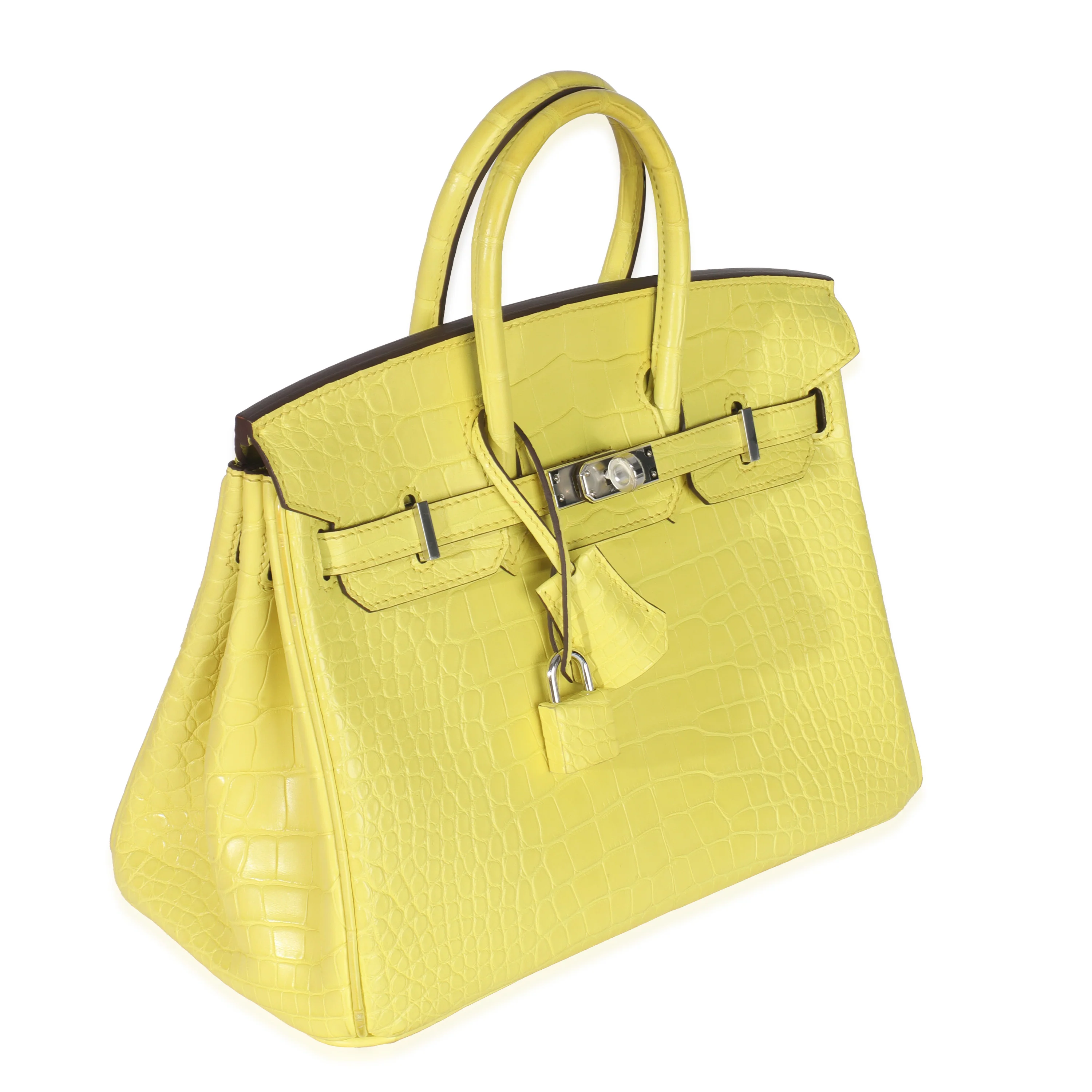 Lime Mississippiensis Matte Alligator Birkin 25 PHW - Image 3