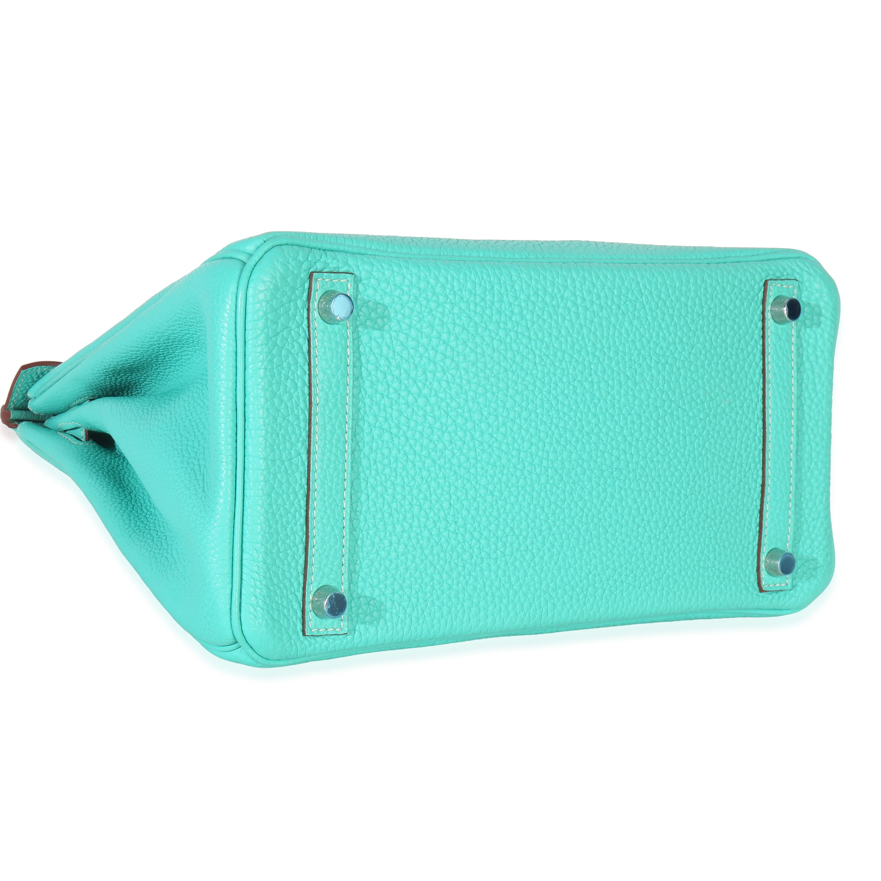 Lagoon Togo Birkin 30 PHW - Image 6